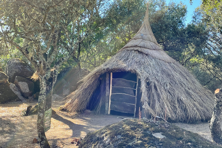 Évora: Cork Factory and Cork Farm Lunch included
