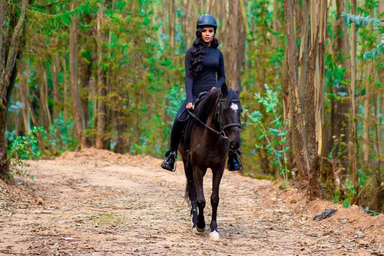 Addis Abeba Entoto Mtn: Reiten, Paintball und ZiplineEntoto Mtn: Reiten, Paintball und Zipline-Hochseilgarten