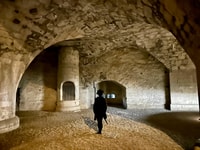 Basel, Schaffhausen & The Rhine's Greatgest Falls Private Tour - Housity