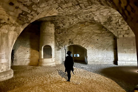 Basel: Schaffhausen & der größte Wasserfall des Rheins Private Tour