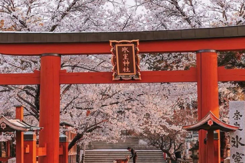 大阪和奈良私人定制导览游大阪和奈良专属私人定制导览游