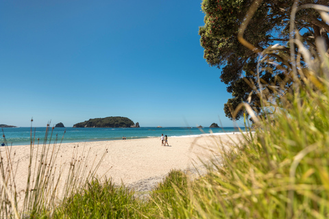 Auckland: Coromandel Cathedral Cove Driving Creek Day Tour Coromandel Cathedral Cove Driving Creek Day Tour: Auckland