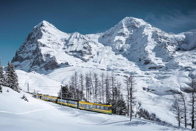 Spectacular ride to experience Jungfraujoch - Top of Europe Explore Jungfraujoch – Top of Europe from/to Grindelwald