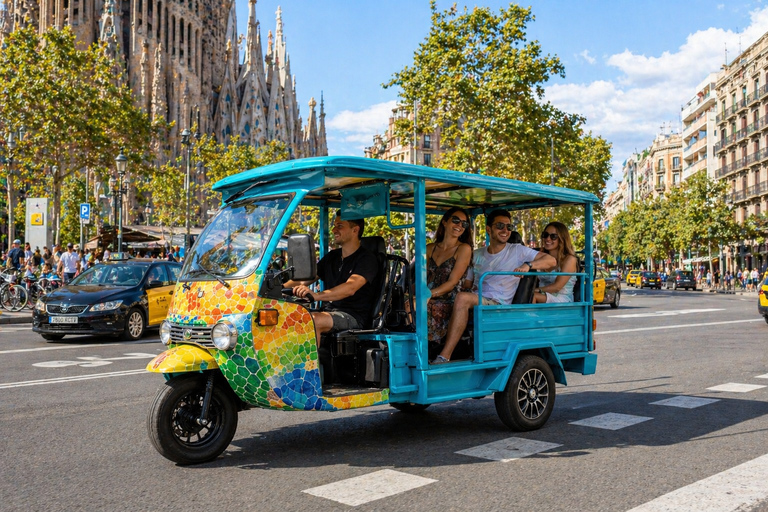 Barcelona: Private Electric Tuk Tuk Sightseeing Tour with Local Driver-Guide Barcelona: 3-Hour Private E-Tuk-Tuk Tour with a Local Guide
