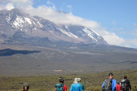 1-Day Shira Plateau-Kilimanjaro Hiking