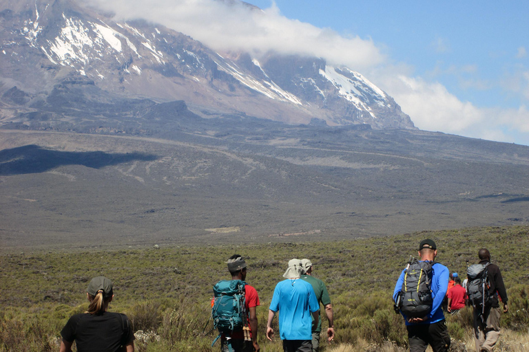 1-Day Shira Plateau-Kilimanjaro Hiking