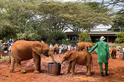 From Nairobi: Elephant Orphanage, Giraffe Centre & Bomas