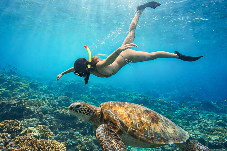 Bali: Nusa Penida Island Tour and Snorkeling Adventure Private Nusa Penida Trip And Snorkeling Adventure