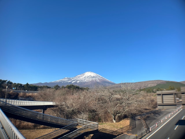 Mt.Fuji: Guided Traditional Forest Hike with Photos