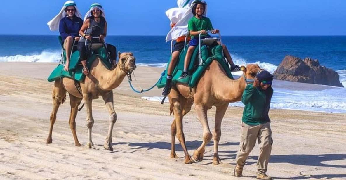 Galería de fotos para redes