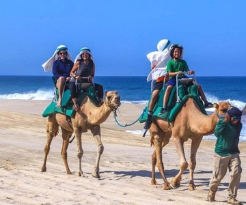 Agadir/Taghazout : Quad & kamelenrit op het strand
