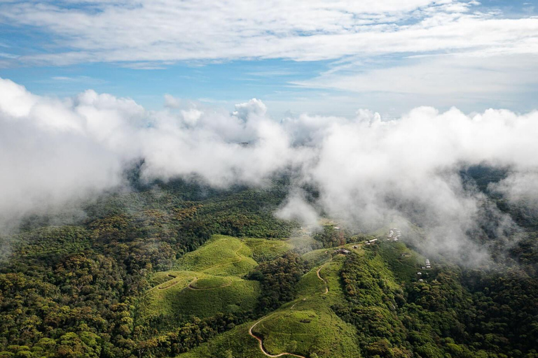 Desde Galle/Weligama/Mirissa/Matara: excursión de un día a Sinharaja
