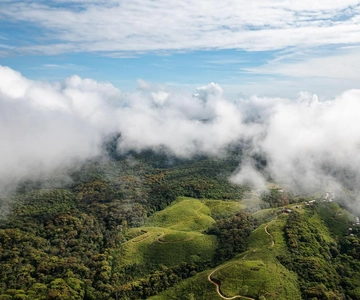 Da Galle/Weligama/Mirissa/Matara: escursione a Sinharaja