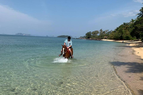 Krabi: Paseos a caballo en la playa de Klong Muang2 horas de viaje
