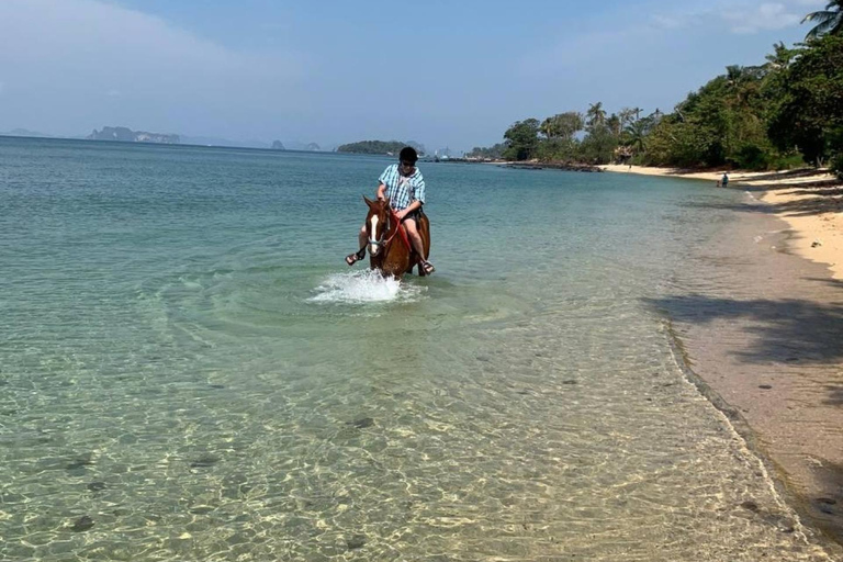 Krabi: Paseos a caballo en la playa de Klong Muang2 horas de viaje