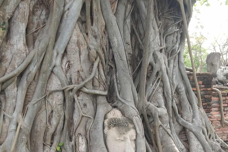 Lugar declarado patrimonio de la humanidad por la UNESCO: tour privado por AyutthayaTour por Ayutthaya + guía de habla inglesa