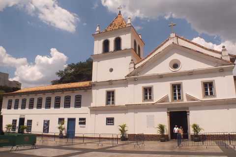 São Paulo Historical City Highlights - Half-day Walking Tour