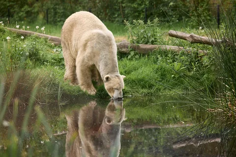 Leewarden: Bilhete de entrada AquaZoo