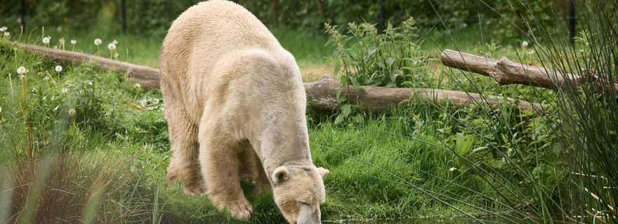 Leewarden : Billet d'entrée à l'AquaZoo