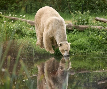 Leeuwarden: Toegangsticket AquaZoo