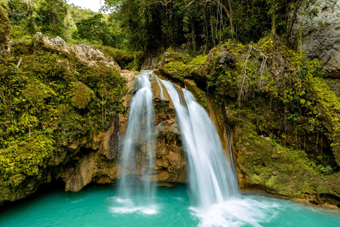 Cebu: Sardines, Sea Turtles, and Kawasan Falls Tour