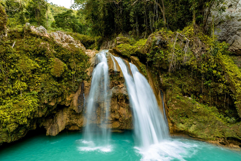 Cebu: Sardines, Sea Turtles, and Kawasan Falls Tour