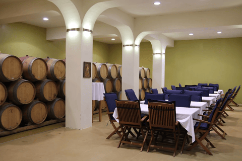 Varna: Winery Tour with Tasting & Aladzha Rock Monastery