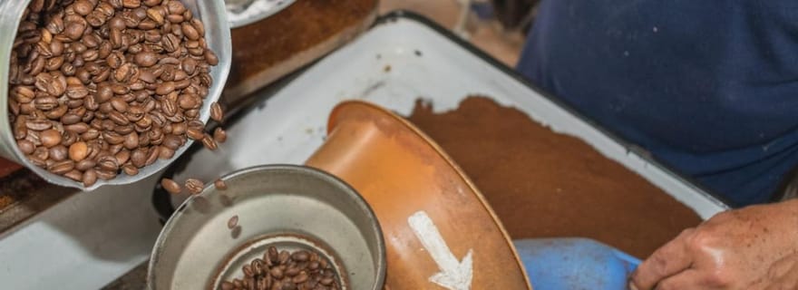 Visite privée dans une authentique finca de café locale et écologique