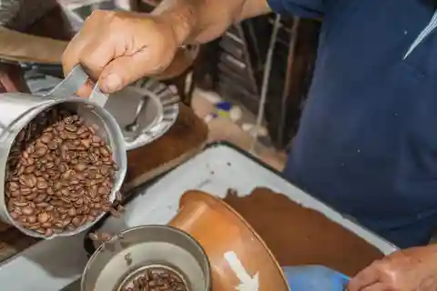 Tour particular em uma autêntica e ecológica fazenda de café local