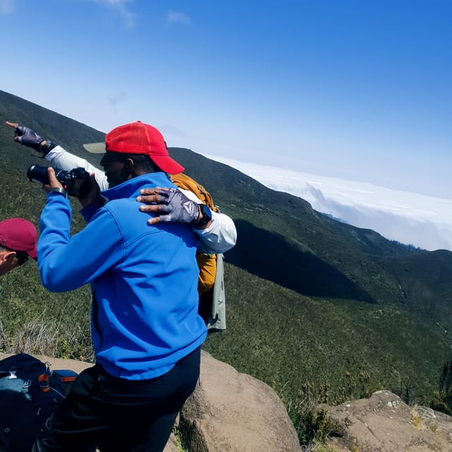 6 Jours D Ascension Du Kilimandjaro Par La Route D Umbwe GetYourGuide