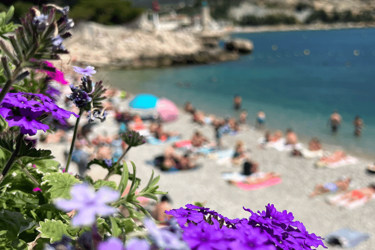 Unique Provence : Marseille, Allauch et Cassis en une journéeMarseille - Allauch - Cassis - PRIVATE