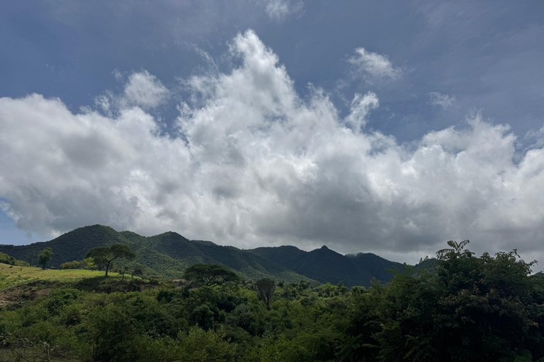 Addis Abeba: Tagestour in den Menagesha Suba Forest mit Guide