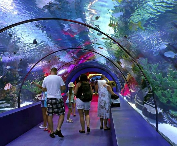 From Antalya, Side, and Alanya: Antalya Aquarium Transfer