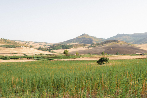 Sensory walk with lunch in the Caltagirone countryside