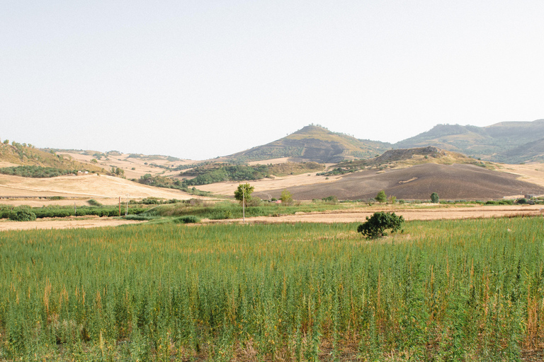 Sensory walk with lunch in the Caltagirone countryside