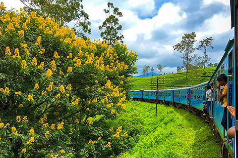 COLOMBO to KANDY Trian E-Tickets