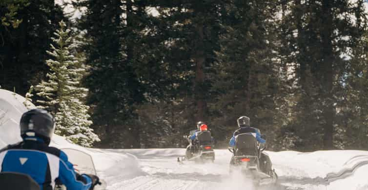 Moran: Turpin Meadows Ranch Snowmobile Tour | GetYourGuide