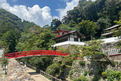 Osaka: Minoh Waterfall & Katsuo-ji Temple Half-Day Tour