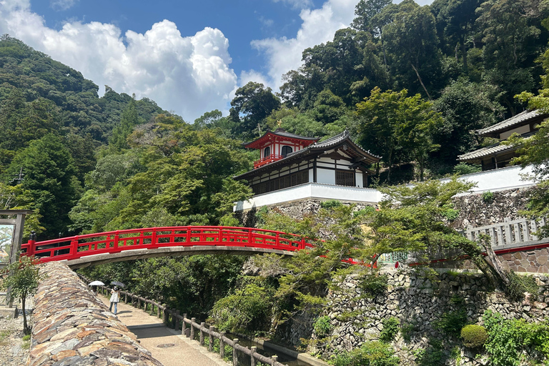 Osaka: Minoh Waterfall & Katsuo-ji Temple Half-Day Tour