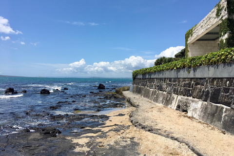 Auckland Volcanoes Full-Day Small Group Tour
