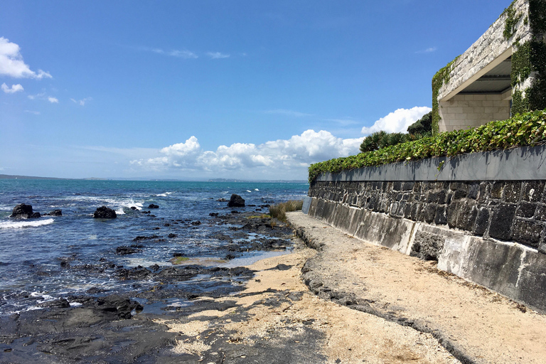 Auckland Volcanoes Full-Day Small Group Tour
