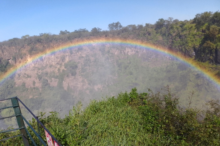 Victoria Falls: Guided Tour, Sunset Cruise, and Dinner