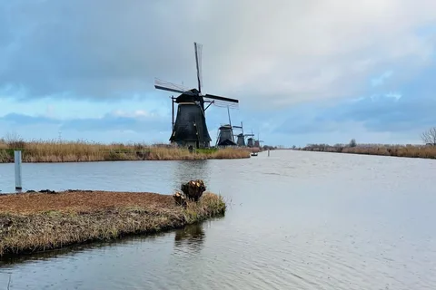 Kinderdijk - Transfer + zdjęcia + bilety