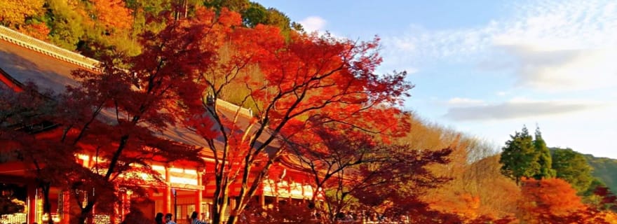 Transport privé aller simple vers/depuis Kyoto