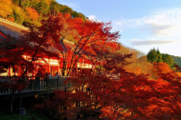 Trasporto privato di sola andata da/per KyotoDa Osaka a Kyoto