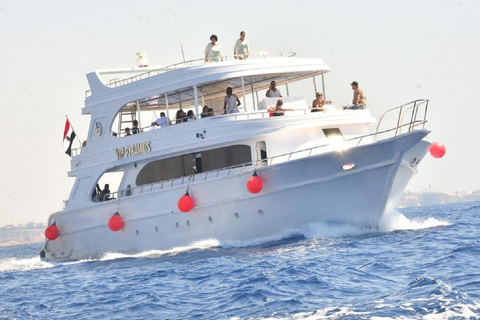 Depuis Sharm El-Sheikh : Excursion en bateau à la station de raies de Ras Mohamed