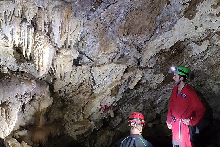 Vancouver Island: Jurtenaufenthalt, Wasserfall, Strände und Skywalk