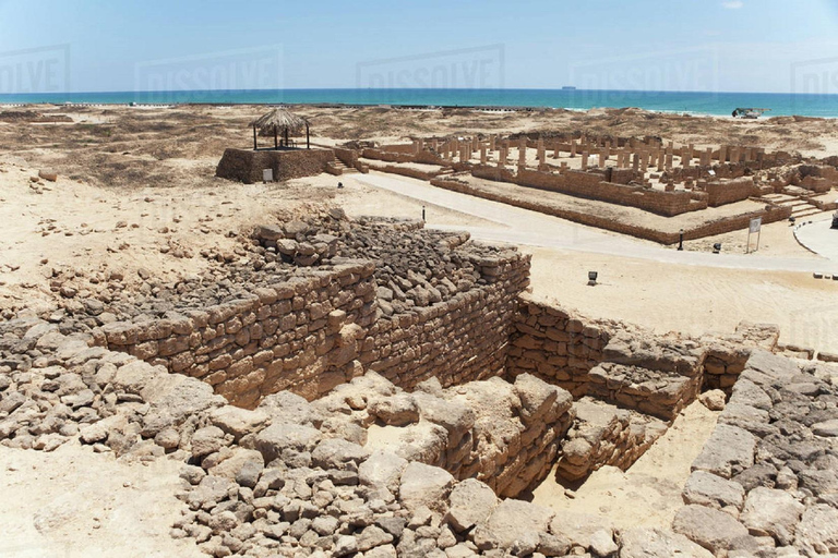 塞拉莱：私人 4 小时观光游与英语或阿拉伯语导游一起游览