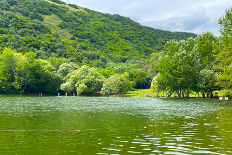 Tbilisi 2 parken: Schildpaddenmeer &amp; Dedaena Park met vlooienmarkt