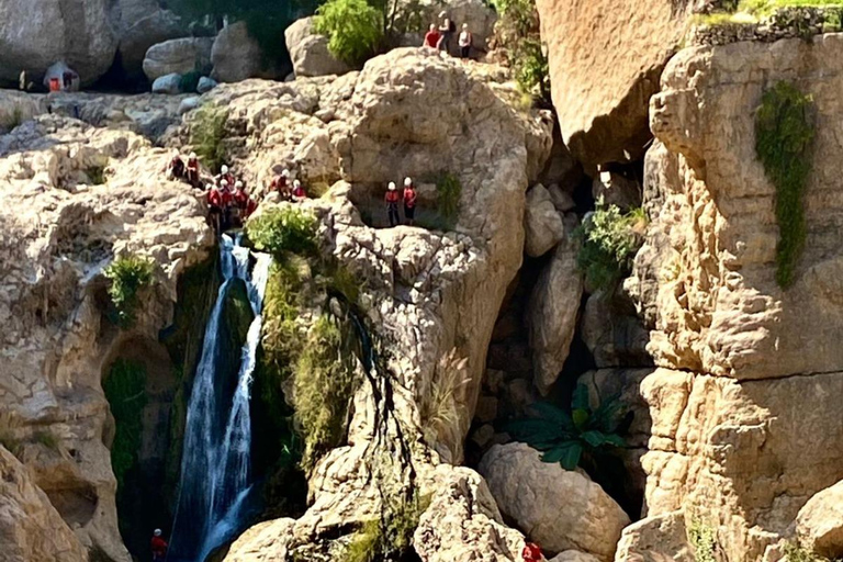 Muscat: Wadi Tiwi, Mibam, Frankincense Tree & Beach Tour